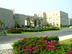 北京师范大学2011年艺术类专业成绩查询