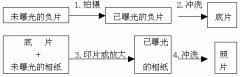 摄影基础知识（1）